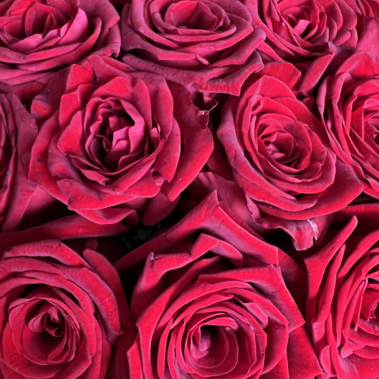 Цветы в коробке Красные розы в коробке L