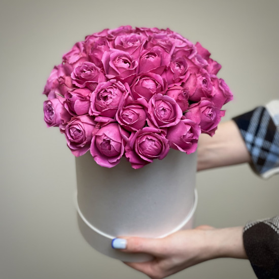 Кустовая роза Малиновые кустовые пионовидные розы в коробке "М"