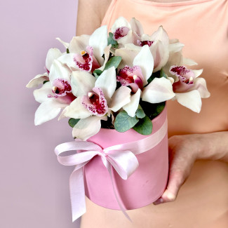 Орхидеи Цветы в коробке Орион
