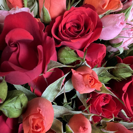 Кустовая роза Букет из 15 кустовых роз микс