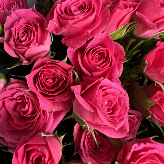 Кустовая роза Букет из 11 кустовых малиновых роз