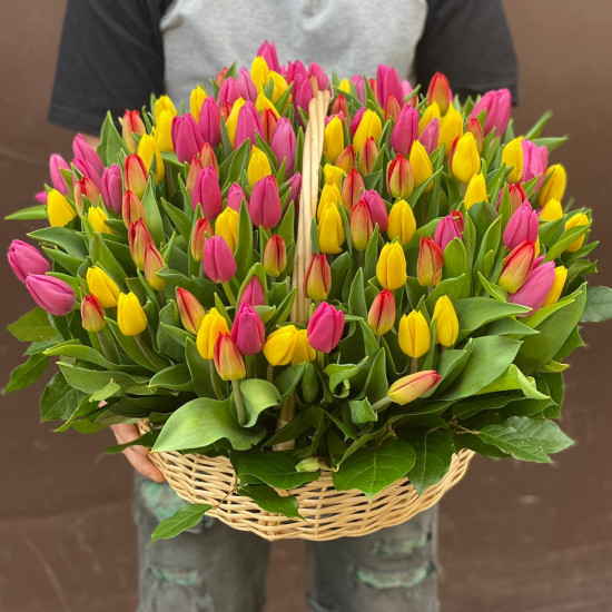 Корзина из 201 тюльпана