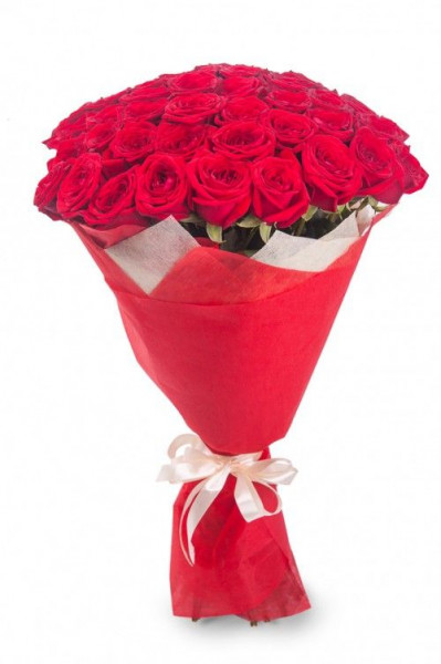 Букеты из роз Букет из 55 красных роз (50см)