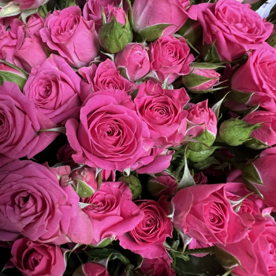 Кустовая роза Букет из 29 кустовых малиновых роз