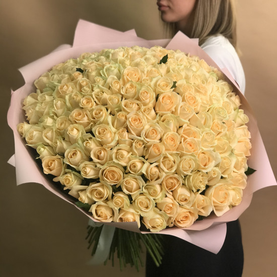 Розы Букет из 151 кремовой розы (70 см)