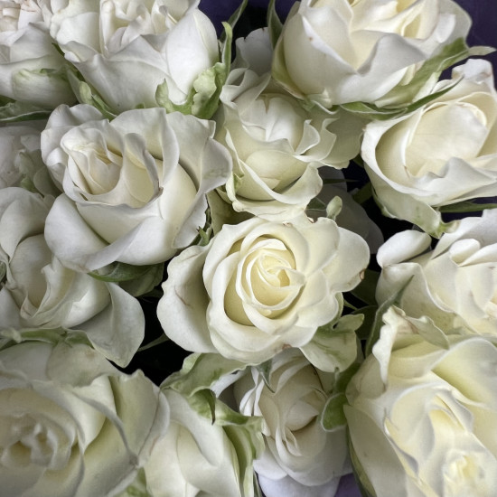 Кустовая роза Букет из 7 кустовых белых роз