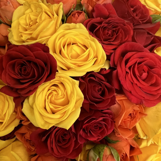 Кустовая роза Букет из 29 кустовых роз