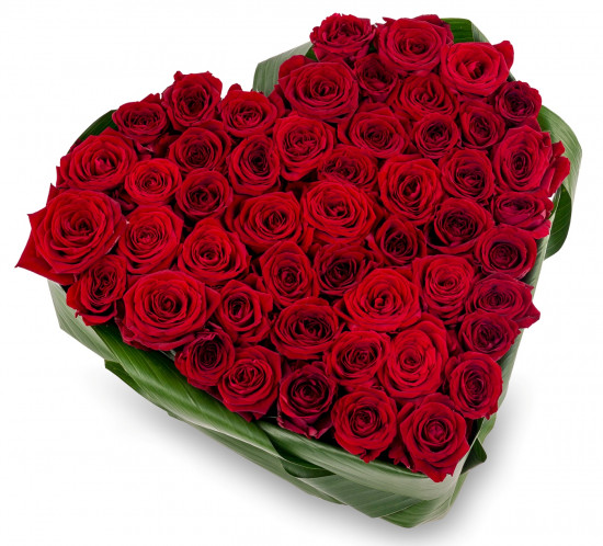 Композиция Моей Королеве