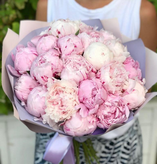 Букет из 25 розовых пионов