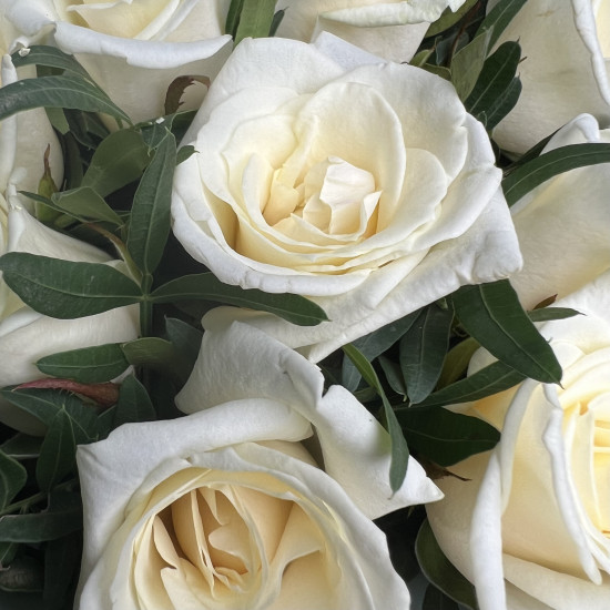 Букеты из роз Букет из 9 белых роз с зеленью