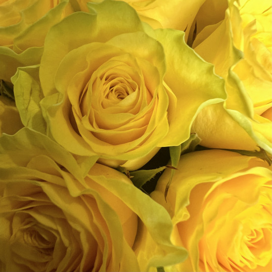 Цветы в коробке Желтые розы в шляпной коробке XS