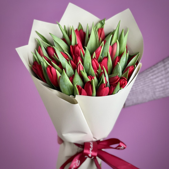 Тюльпаны Букет из 51 красного тюльпана
