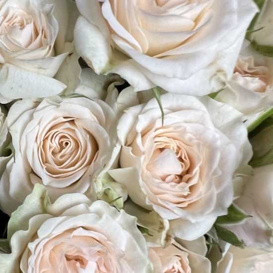 Кустовая роза Букет из 29 кустовых кремовых роз