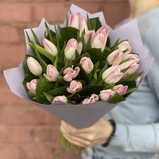 Тюльпаны Букет из 25 розовых тюльпанов