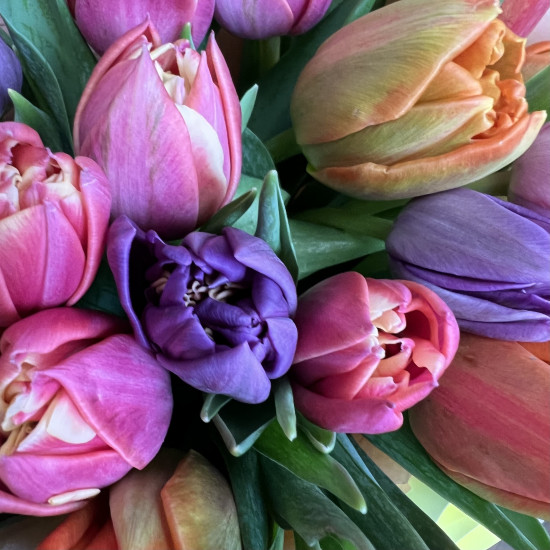 Тюльпаны Букет из 21 пионовидного тюльпана