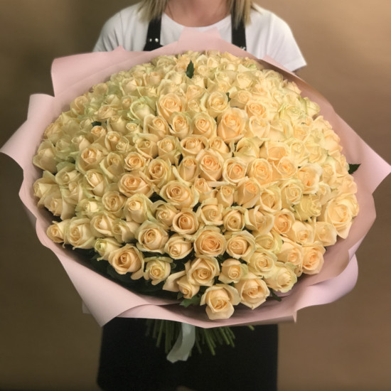 Розы Букет из 151 кремовой розы (70 см)