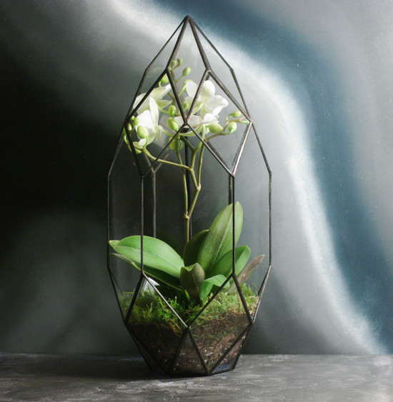 Флорариумы Флорариум с орхидеей