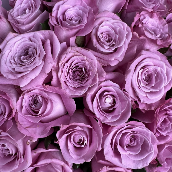 Букеты из роз Букет из 21 розы Мэритим