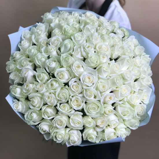 Розы Букет из 101 белой розы (60 см)