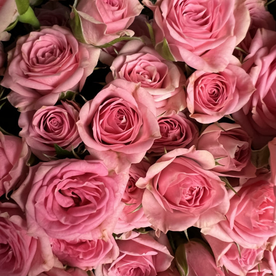 Кустовая роза Букет из 29 кустовых розовых роз