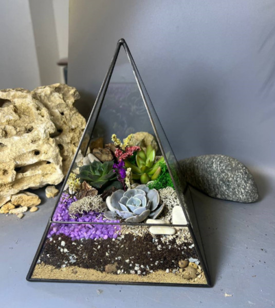 Флорариум с суккулентами "Пирамида Клеоп...
