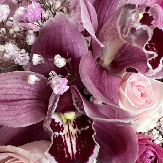 Орхидеи Букет Розовый туман