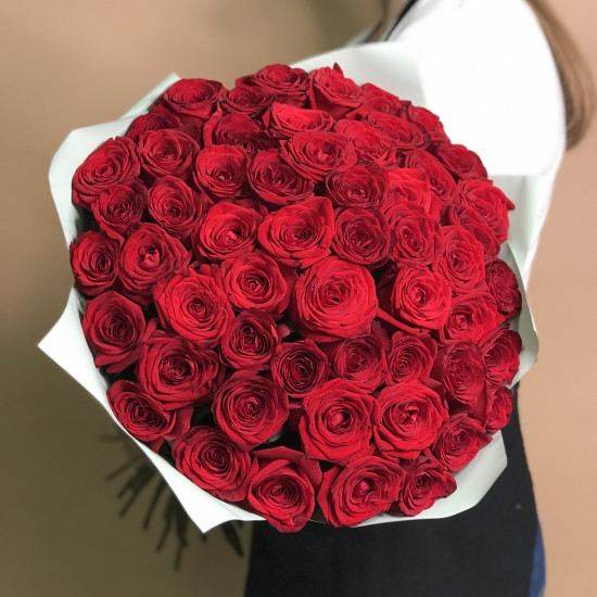 Розы Букет из 55 красных роз (60 см)