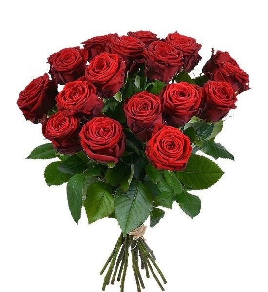 Букеты из роз Букет из 17 красных роз (50см)