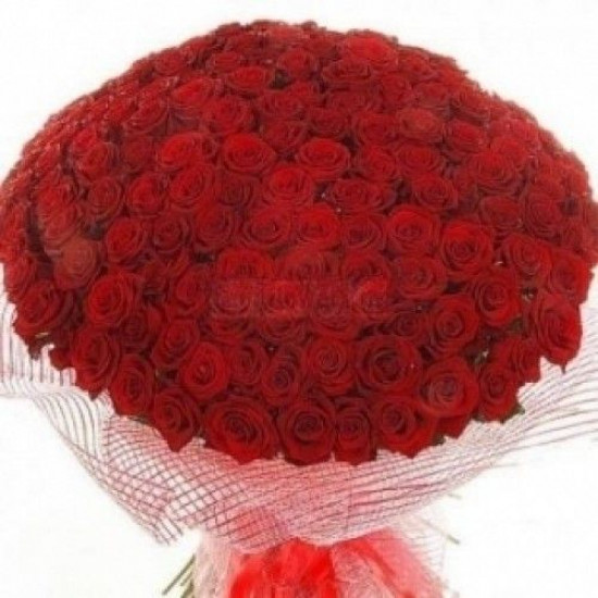 Букеты из роз Букет из 201 красной розы (50см)