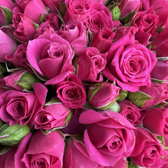 Цветы в коробке Малиновые кустовые розы в коробке S