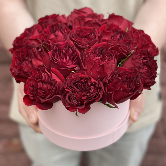 Пионовидная роза Красные пионовидные розы в шляпной коробке