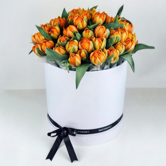 Тюльпаны Цветы в коробке Грациозный