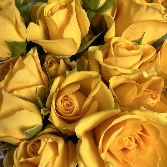 Кустовая роза Букет из 7 кустовых желтых роз