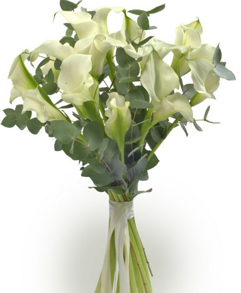 Каллы Букет из 11 белых калл