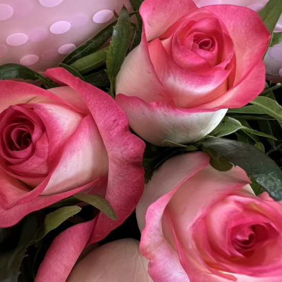 Букеты из роз Букет из 9 роз Джумилия с зеленью