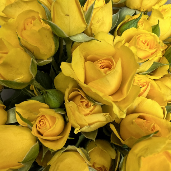 Кустовая роза Букет из 11 кустовых желтых роз