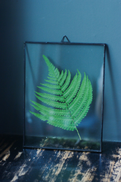 Флорариумы Рамочка стеклянная с папоротником