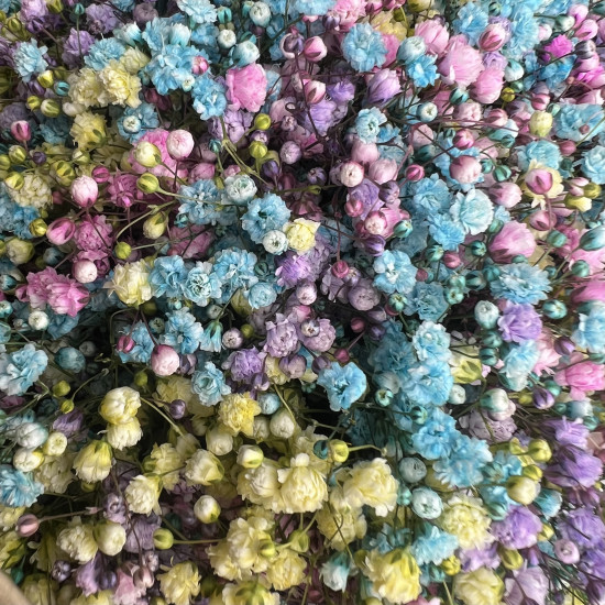 Цветы в корзине Цветная гипсофила в корзине XS