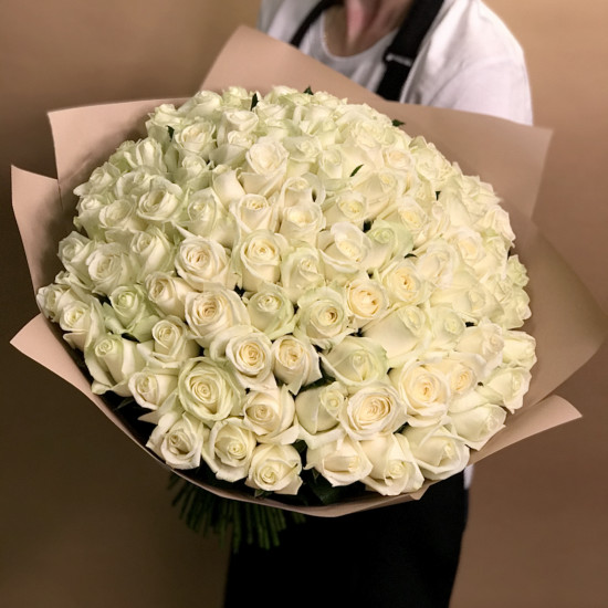 Розы Букет из 101 белой розы (50 см)