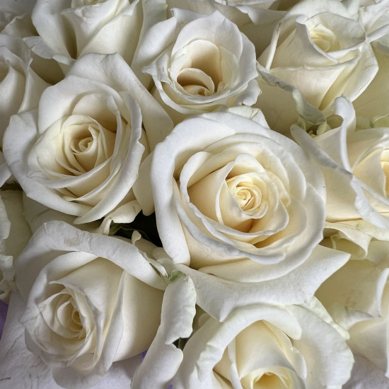 Цветы в коробке Белые розы в коробке L