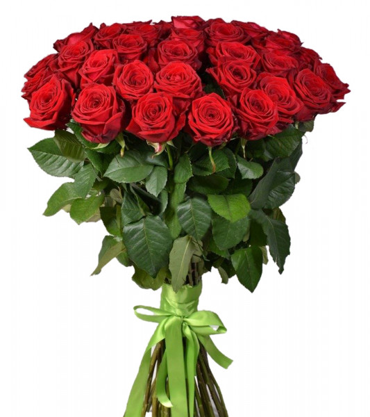 Букеты из роз Букет из 51 красной розы (50см)
