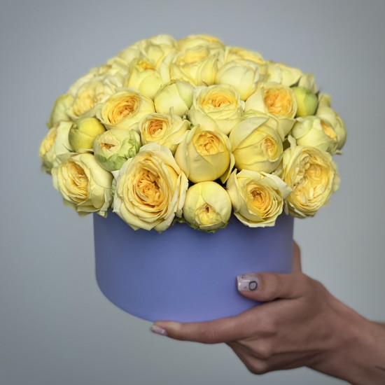 Кустовая роза Желтые кустовые пионовидные розы в коробке "S"