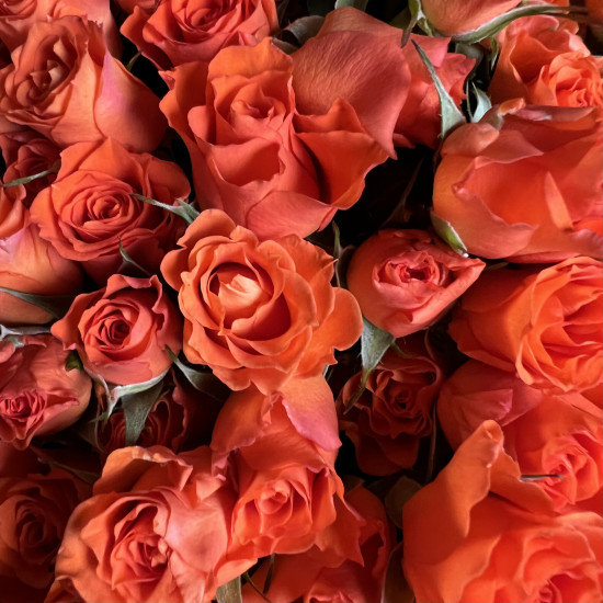 Кустовая роза Букет из 11 кустовых оранжевых роз