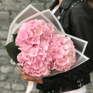 Цветы Букет из 3 розовых гортензий