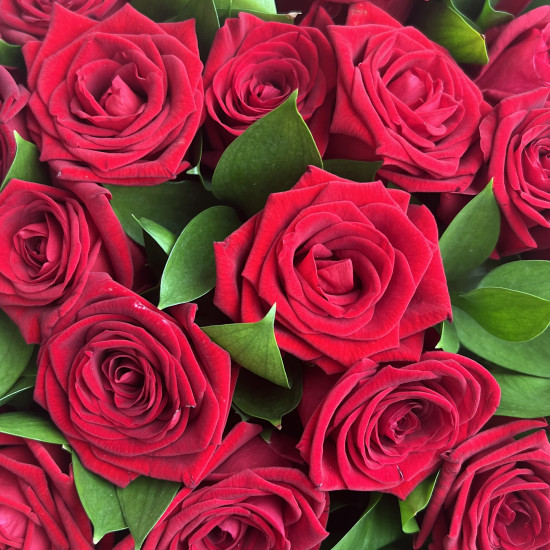 Букеты из роз Букет из 25 красных роз с зеленью