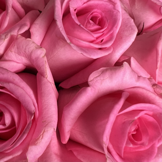 Цветы в коробке Розовые розы в шляпной коробке L