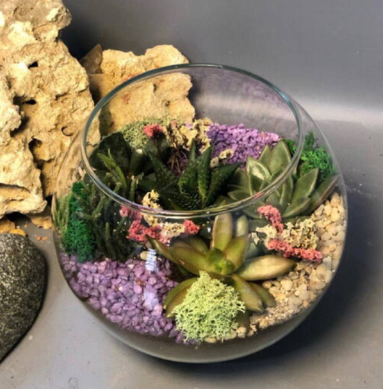 Флорариум с суккулентами "Подарок бабушк...