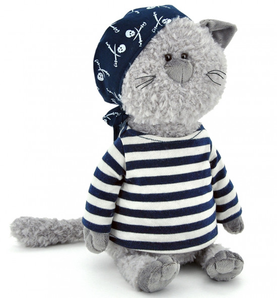 Кот Обормот Пират