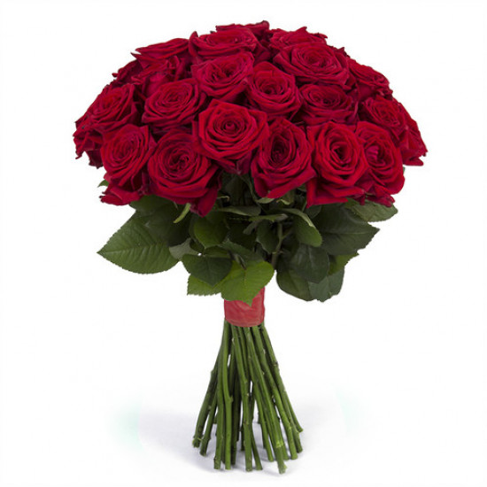 Букеты из роз Букет из 35 красных роз (50см)