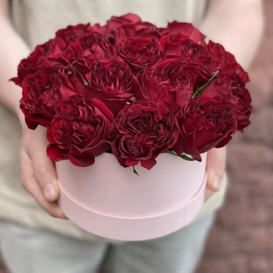 Пионовидная роза Красные пионовидные розы в шляпной коробке